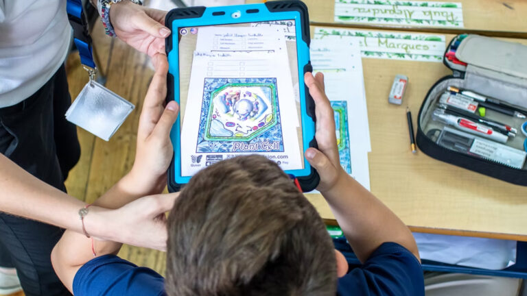 5 Educación para el Talento
